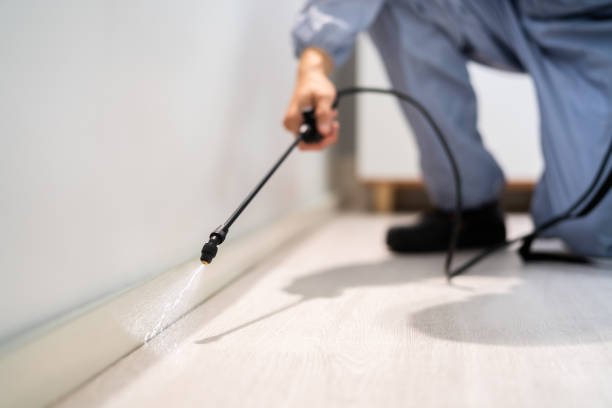 Licensed Cockroach Control service in National Harbor, MD - Nex Pest Control