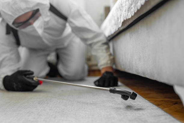 Professional Cockroach Control technician working in National Harbor, MD