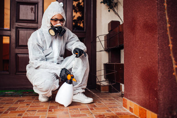 Reliable Cockroach Control contractor in National Harbor, MD by Nex Pest Control