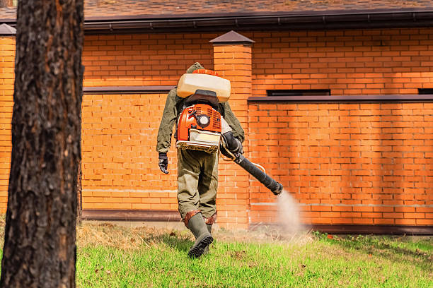 Trusted Mosquito Control service in National Harbor, MD - Nex Pest Control